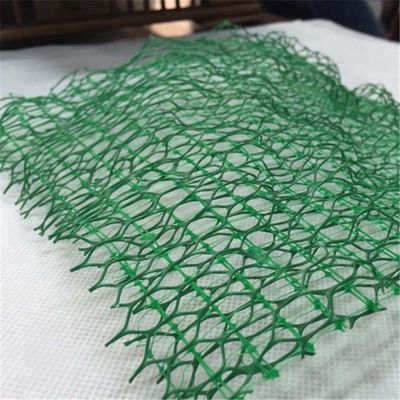 Bevorderen van duurzame bescherming van vegetatie met 2m breed HDPE-drie-dimensionale geomat