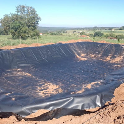 Garnalenvisserij-tank HDPE-geomembraan met een breedte van 2-8 m en 100% maagdelijk materiaal