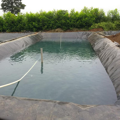 GB/ASTM GRI-GM13 Geomembrane-liner van standaard HDPE voor waterdicht materiaal voor vishouderij