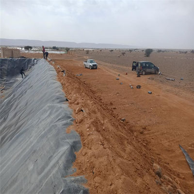 Geomembrane van industriële stijl gladde damliner voor lagere 1,5 mm HDPE-geomembrane