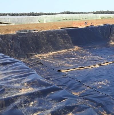 Langdurig HDPE-geomembraan voor bekleding van vijvers in Aziatische stijl in andere regio's