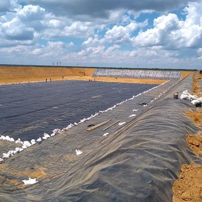 1 mm Plastic HDPE Geomembrane voor traditioneel ontwerp in cirkelvormige aquariumvissen