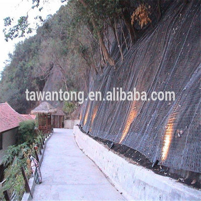 Contemporary Design HDPE Plastic Mesh Terrain Geomat voor helling erosie Control