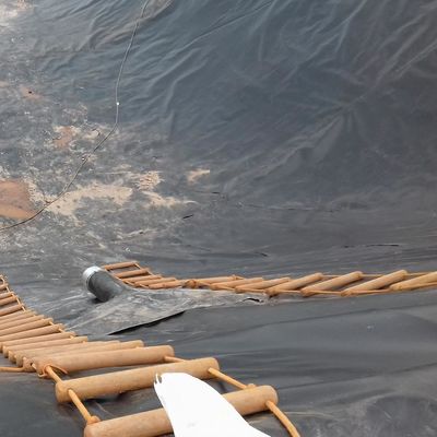 LDPE LLDPE HDPE Plastic Fish Ponds Waterdichtingsmembraan 0,5 mm HDPE Geomembraan Plaat m2