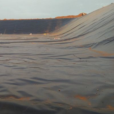 LDPE LLDPE HDPE Plastic Fish Ponds Waterdichtingsmembraan 0,5 mm HDPE Geomembraan Plaat m2