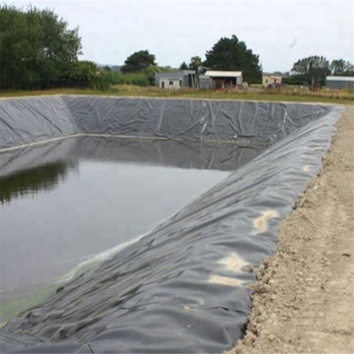 0.2 mm HDPE-geomembraan waterdichte traanvoering voor Biofloc-visserijvijvers