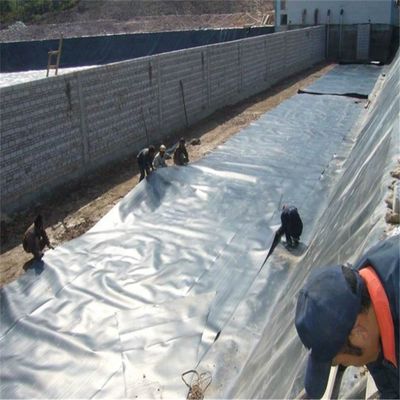 0.2 mm HDPE-geomembraan waterdichte traanvoering voor Biofloc-visserijvijvers