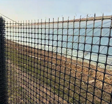 Wegversterking Biaxiaal geogrid met treksterkte in Chinese ontwerpstijl