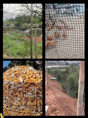 CE/ISO9001-gecertificeerde kippen- en gansverbouwingshek met versterkt biaxiaal geogrid