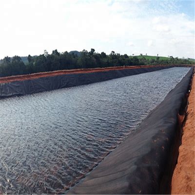 Geomembrane-poellinerplaat voor spirulina in blauwe dikte 0,2 mm-3 mm