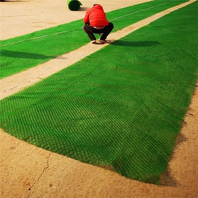 s HDPE PP 3D Geomat De beste oplossing voor hellingsbescherming en drainage