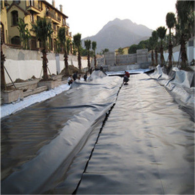 Contemporary Design Style India vervaardigd HDPE Geomembrane 1mm voor vis vijver Liner