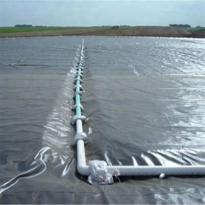Contemporary Design Style India vervaardigd HDPE Geomembrane 1mm voor vis vijver Liner