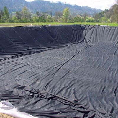 Contemporary Design Style India vervaardigd HDPE Geomembrane 1mm voor vis vijver Liner