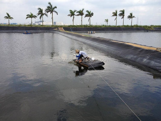 Geomembranen voor vissentank 2 mm zwart waterdicht HDPE-plastic Installatie ter plaatse