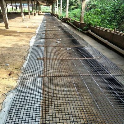 Chinese ontwerp stijl biaxiale geogrid hek voor kip wegbed wegbed laadcapaciteit