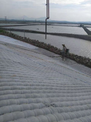 Moderne stijl Polyester Continuous Filament Naald Punched Nonwoven Geotextile 200gm in Wit