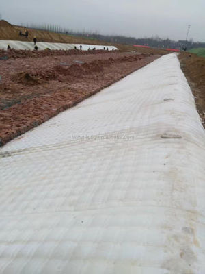 Moderne stijl Polyester Continuous Filament Naald Punched Nonwoven Geotextile 200gm in Wit