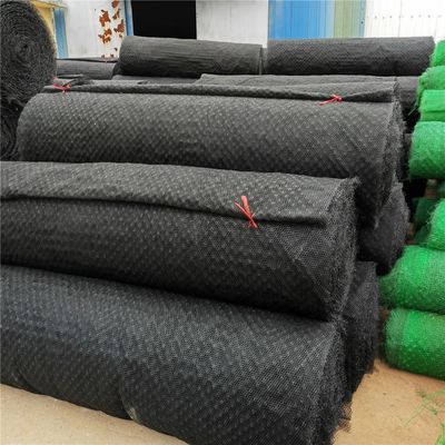 Chinese Design Style Erosie Control Geomat/Planting Mat/Plastic Mesh/3D Geomat 7.6-10.2mm Dikte