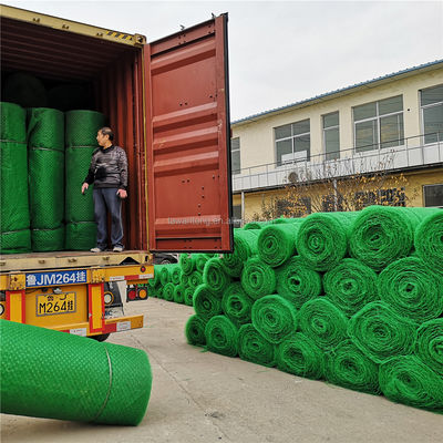 Chinese ontwerp stijl HDPE PP Geomat voor aangepaste aardverschuivingspreventie steunstructuren