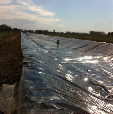 Vrouwelijke/recycled HDPE-geomembraan voor damvoering van vijvertanks