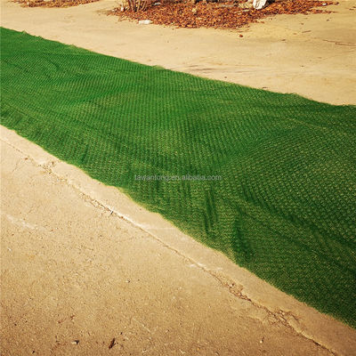 2m HDPE Geomat voor hellingsbescherming en controle van graserosie