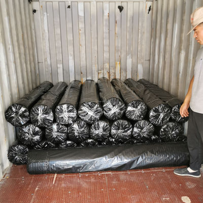 50-50 kn Polyester Geogrid/ PET Geogrid voor versterking van rivieroever