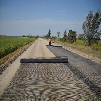 1m rolbreedte Aziatisch ontwerp PE eenastig hekmaas Geogrid voor wegoprijspadversterking