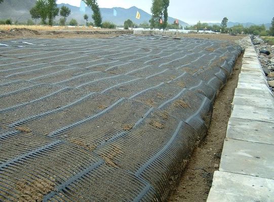 1m rolbreedte Aziatisch ontwerp PE eenastig hekmaas Geogrid voor wegoprijspadversterking