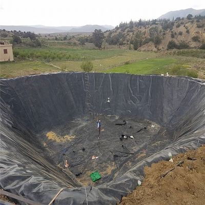 2m-8m Breedte Landbouw HDPE Geomembrane Visserij vijver Liner voor hoge flexibiliteit