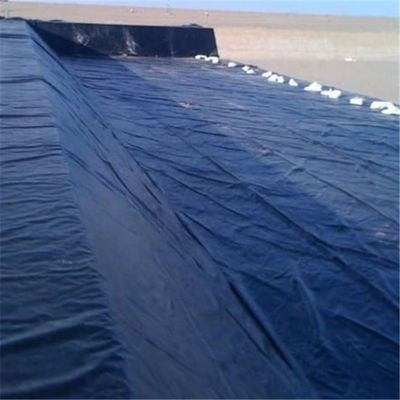 2m-8m Breedte Landbouw HDPE Geomembrane Visserij vijver Liner voor hoge flexibiliteit