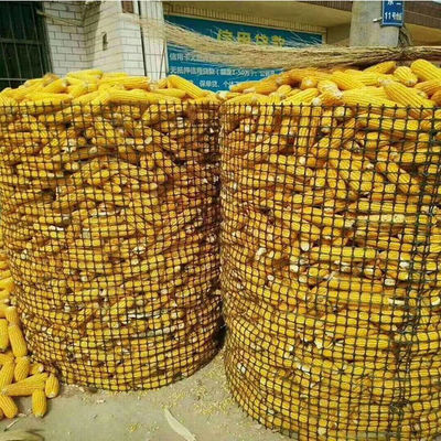 Polypropyleenmateriaal 15 kn Farm Fence Mesh Geogrid voor landbouw toepassingen