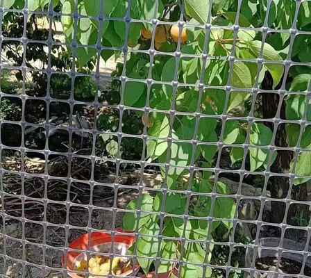 Zwart tweerichtingsnet van geogrid-plastic voor kippen- en eendenhuis in een magazijn