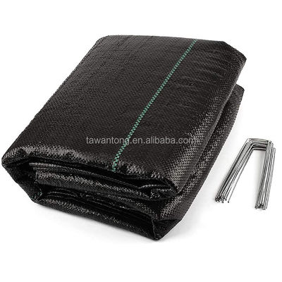 Design stijl Groene lijn Zwarte Plastic PP Geweven Geotextile Anti Weed Mat voor Landschap Custom Length