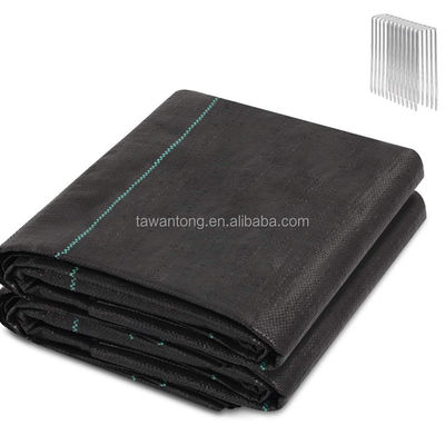 Design stijl Groene lijn Zwarte Plastic PP Geweven Geotextile Anti Weed Mat voor Landschap Custom Length