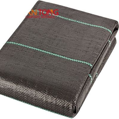 Design stijl Groene lijn Zwarte Plastic PP Geweven Geotextile Anti Weed Mat voor Landschap Custom Length