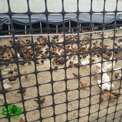CE/ISO goedgekeurd Wantong PP Plastic Biaxial Geogrid voor wegbouw Lengte 50-100m