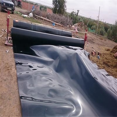 Chinese ontwerp 1.0 mm dikte Geomembrane voor gladde dam voering waterdicht