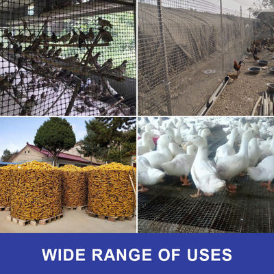 Online technische ondersteuning 20 kn/m Biaxial Geogrid Mesh voor Kenia Soil Stabilization