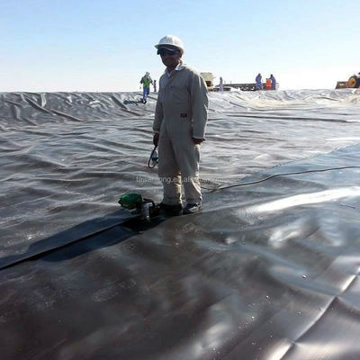 0.2-3.0mm Dikte PVC LLDPE HDPE Geomembrane voor Chinese design stijl Verticale muur