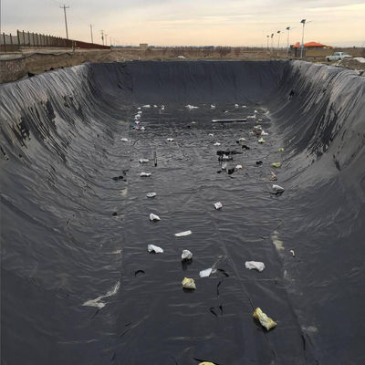 0.75mm 1mm HDPE visgarnaal verbouwing vijver Geomembrane Liner met en op locatie installatie