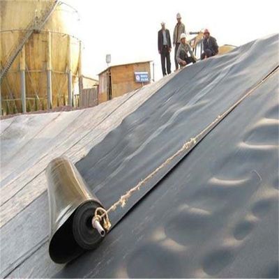 Geomembranen voor HDPE PVC 0,75 mm Dam Pond Liner en Chinese Design Style Landfill