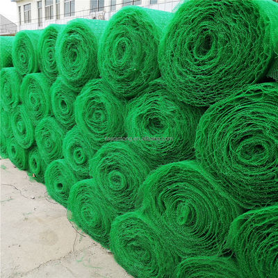 CE/ISO9001/ISO14001 gecertificeerde kunststof 3D vegetatie net grasspaver geonet voor hellingsbescherming