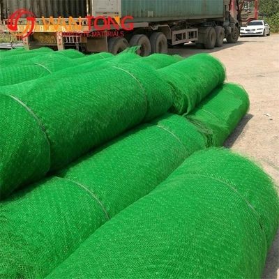 3D 2m HDPE Geomat voor Chinese design stijl hellingsbescherming en ecologische grasbedekking