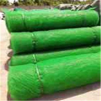 HDPE PP Erosiebeheersing 3D Vegetatieve bedekking Geomat Grasvergrendeling voor hellingsbescherming