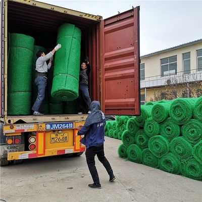Chinese ontwerp 3D HDPE Geomat Erosie Control Mat voor hellingsbescherming Em2 Em3 Em4 Em5