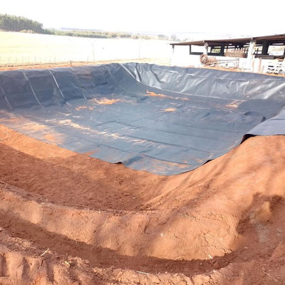 Shandong HDPE Geomembrane 0,5 mm voor Pond Liner Fish Farms Pound Pool Landfill