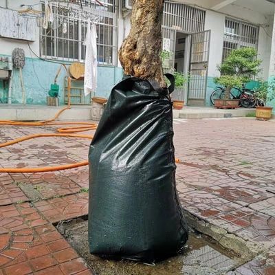 Bewatering van bomen met druppelbewateringssystemen Waterbesparing en ondersteuning van de wortelontwikkeling