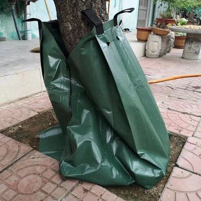Bewatering van bomen met druppelbewateringssystemen Waterbesparing en ondersteuning van de wortelontwikkeling