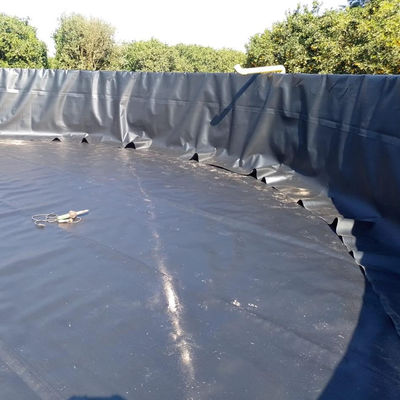 100% maagdelijk HDPE LLDPE visvijver waterdicht geomembraan HDPE rollen voor garnalenhouderij